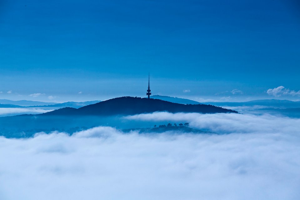 canberra blues